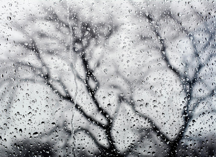 Rain Photograph by Alina Stoenescu - Fine Art America