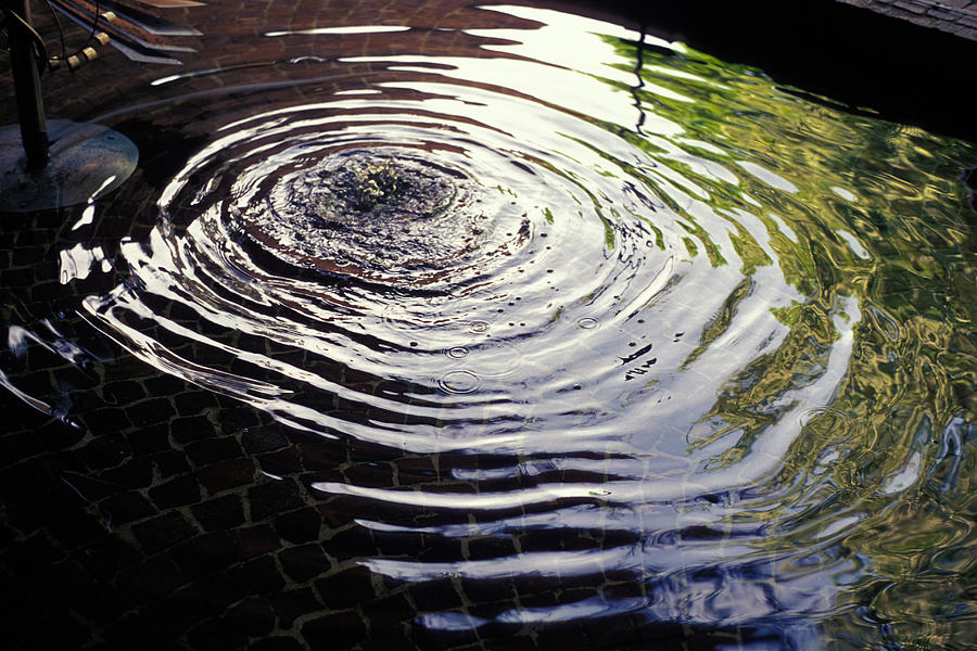 Rain Photograph - Rain Barrel by Carl Purcell