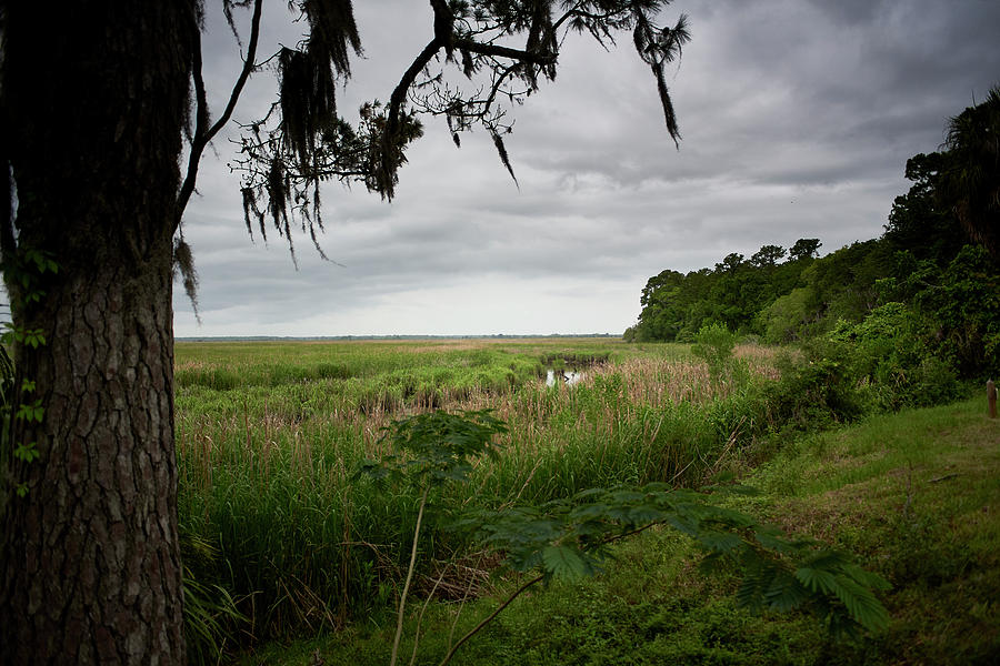Rain clouds and marsh Photograph by John Simmons