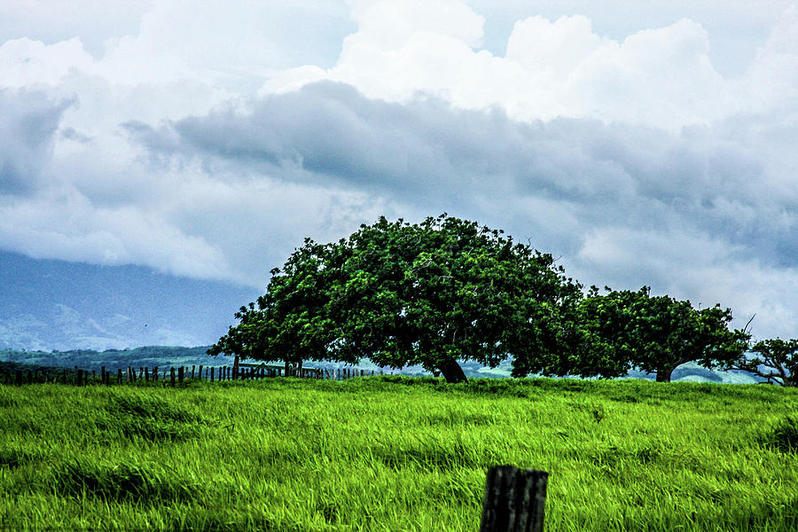 Rain Clouds on the Mountains Photograph by William E Rogers - Pixels