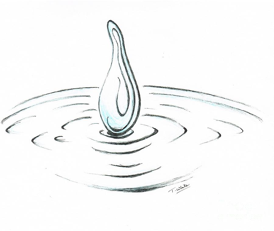 Rain Drop Drawing by Teresa White | Fine Art America