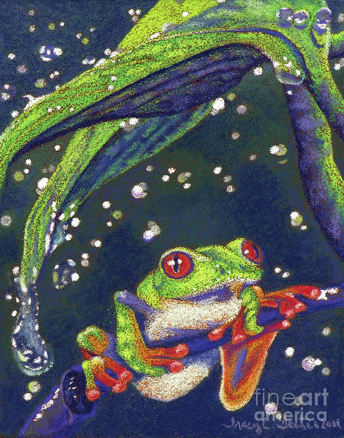 Treefrog Pastel - Rain Drops - Tree Frog by Tracy L Teeter Treefrog Pastel - Rain Drops - Tree Frog by Tracy L Teeter