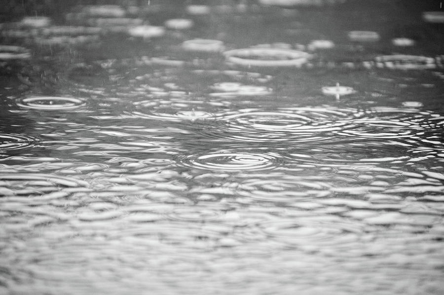 Rain Drops #2 Photograph By Eric Sutherland - Fine Art America