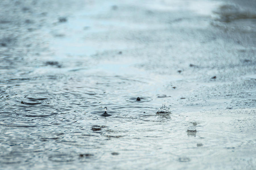 Rain drops in a puddle Photograph by Dutourdumonde Photography