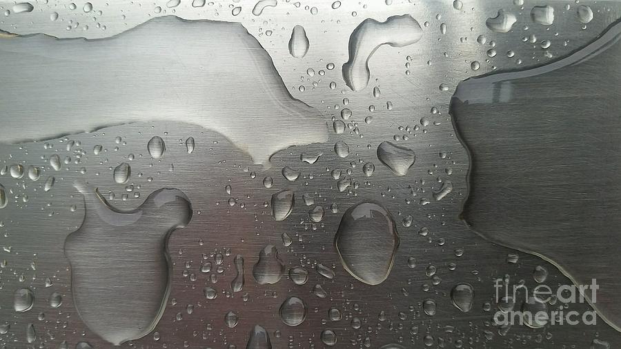Rain Drops Photograph by Jimmy Clark