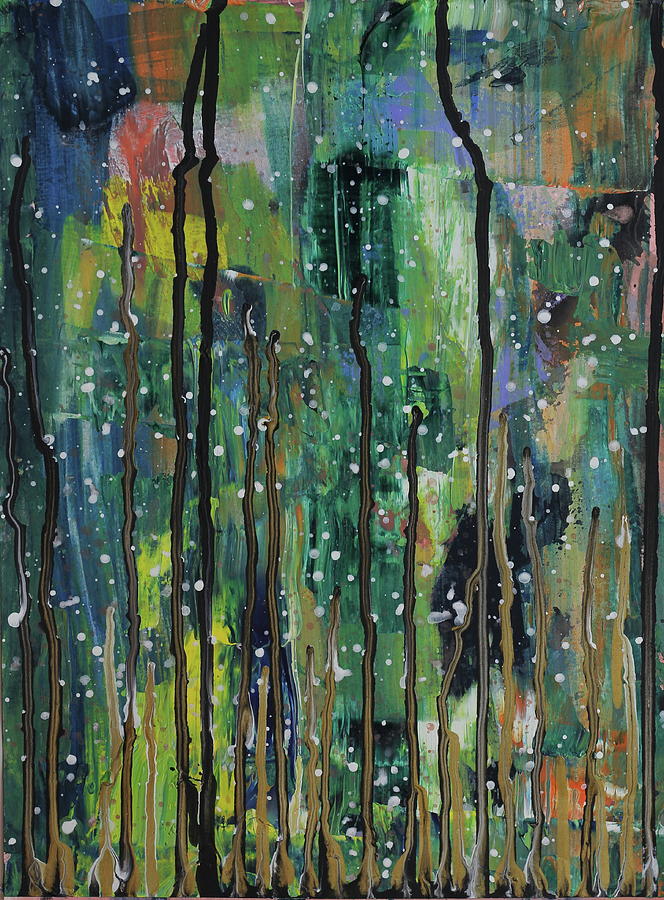 Rain Forest Photograph by Daniel Rustad Rain Forest Photograph by Daniel Rustad