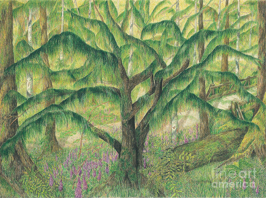 Rain Forest Washington State Painting by Vicki  Housel