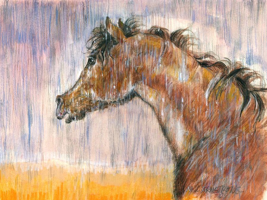 Rain Horse Painting by Mary Armstrong