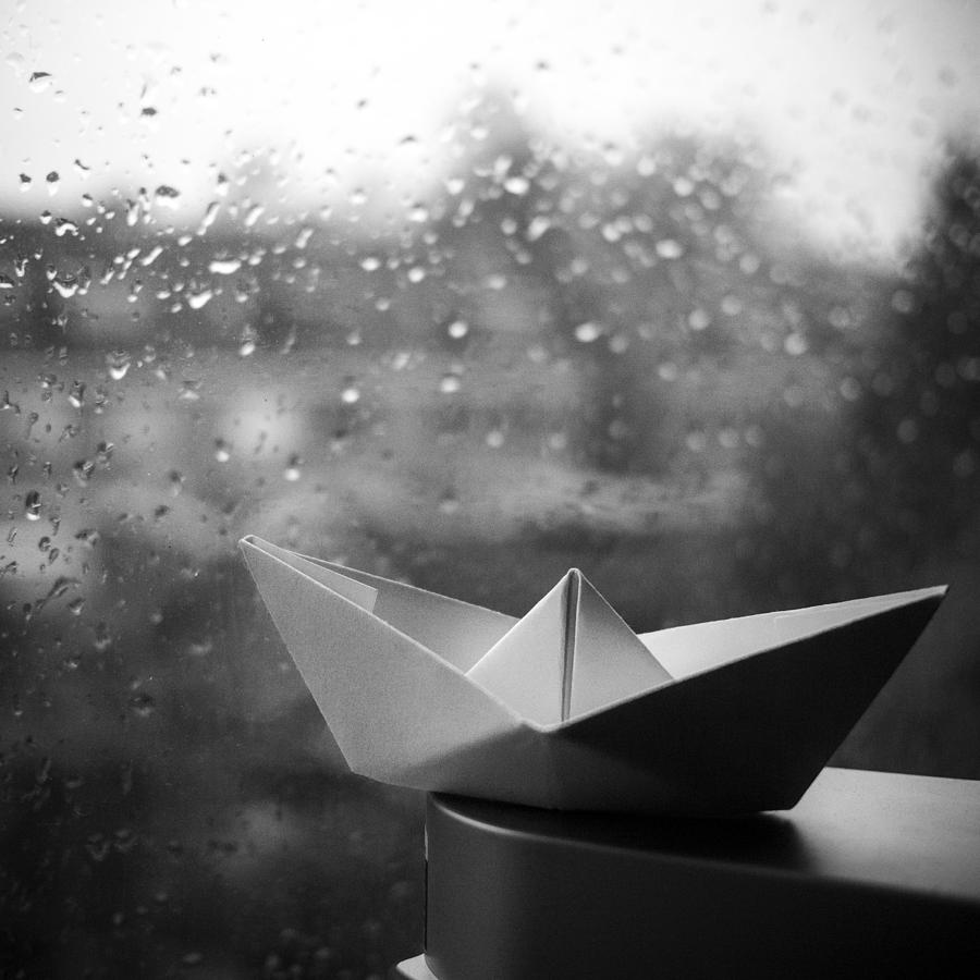 Rain Photograph by Janine Pauke