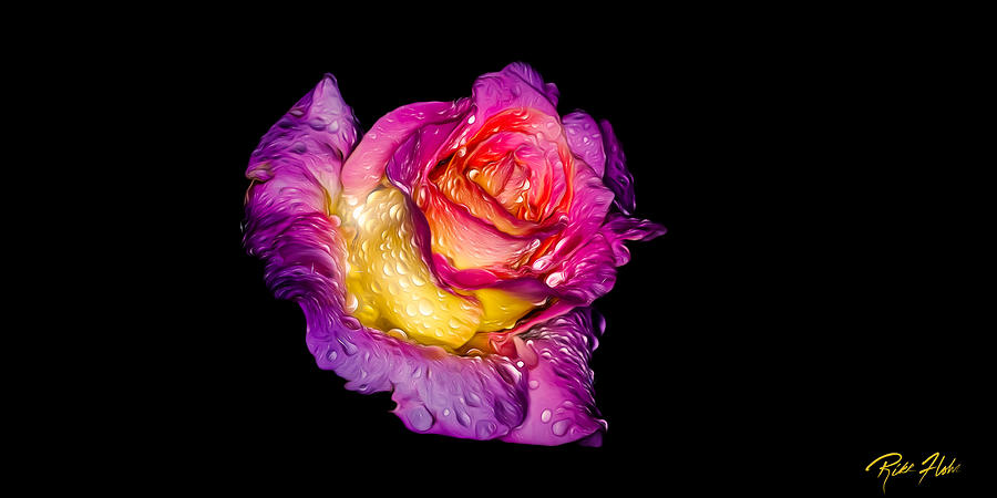 Rain-melted Rose Photograph by Rikk Flohr