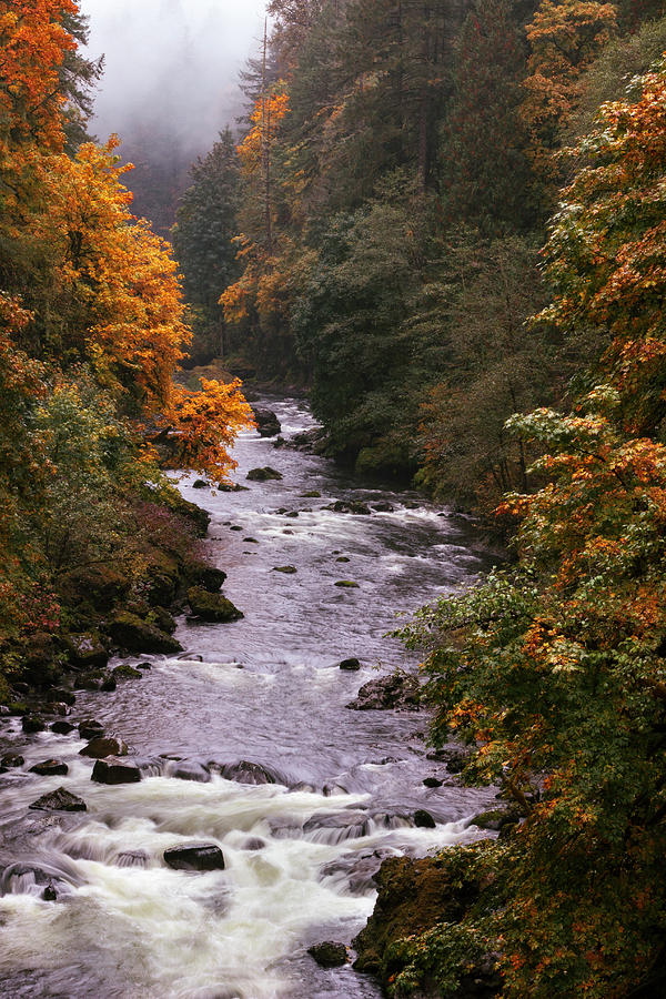 Rain, mist and color by Hans Franchesco Rain, mist and color by Hans Franchesco