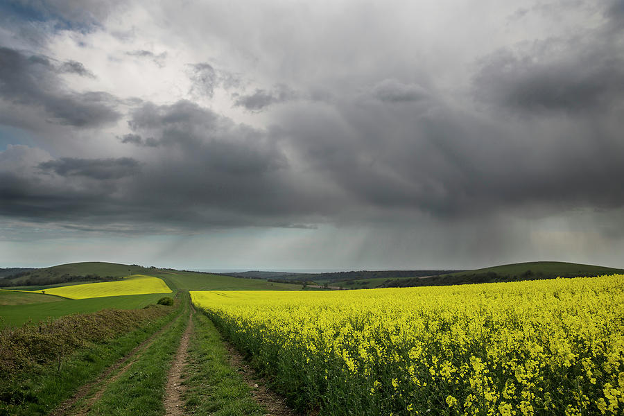 Rain on Harrow and Blackpatch Hill, Worthing Photograph by Len Brook ...