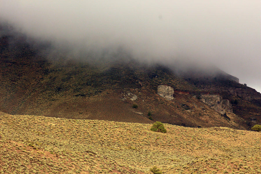 Rain on the Mountain by Jodi Vetter Rain on the Mountain by Jodi Vetter