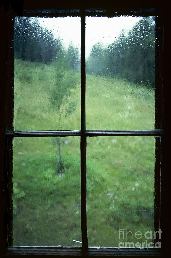 Rain on the Window Photograph by Ken DePue