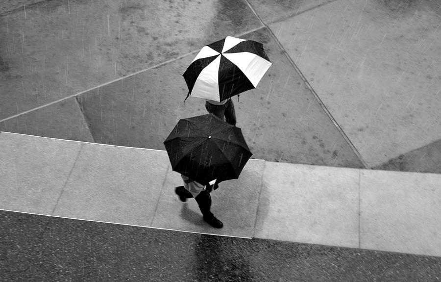 Rain One Photograph by David Lee Thompson