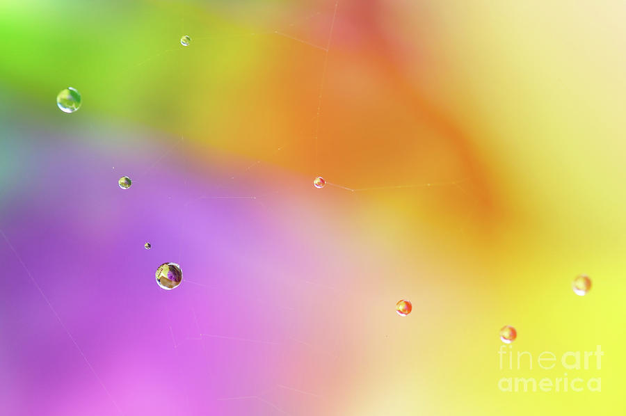 Abstract Photograph - Rain pearls, rainbow colors by Delphimages Photo Creations