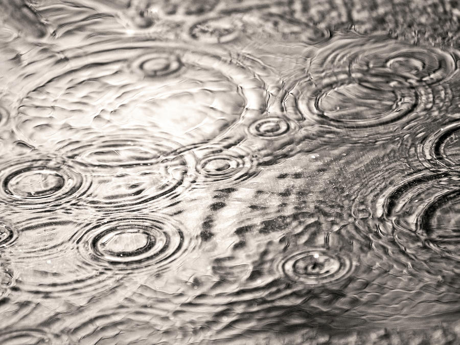 Black And White Photograph - Rain Puddle by Tammy Franck