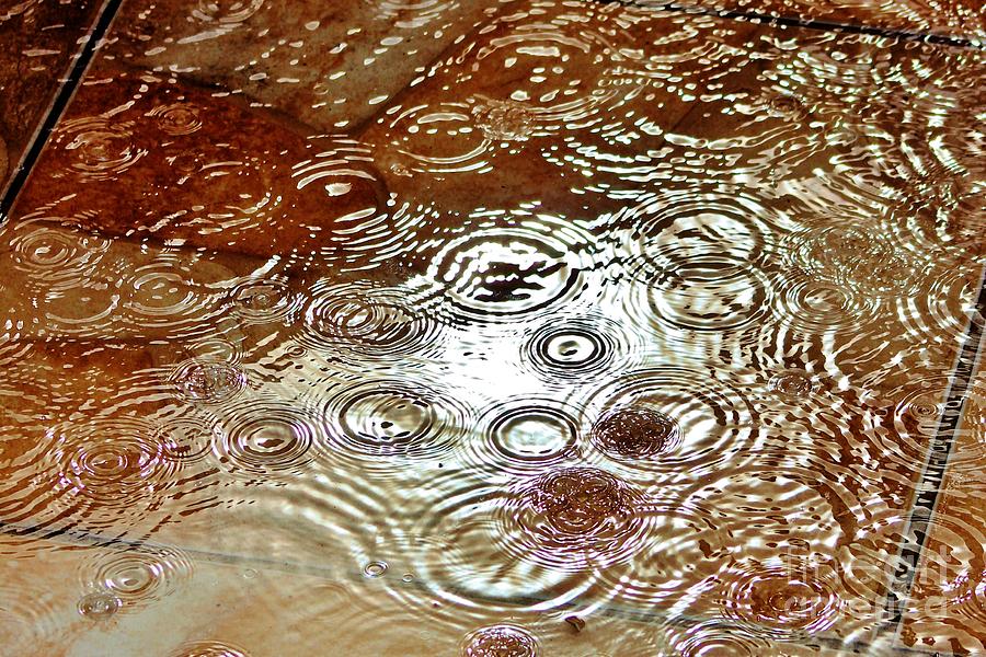 Rain Ripples  Photograph by Mesa Teresita