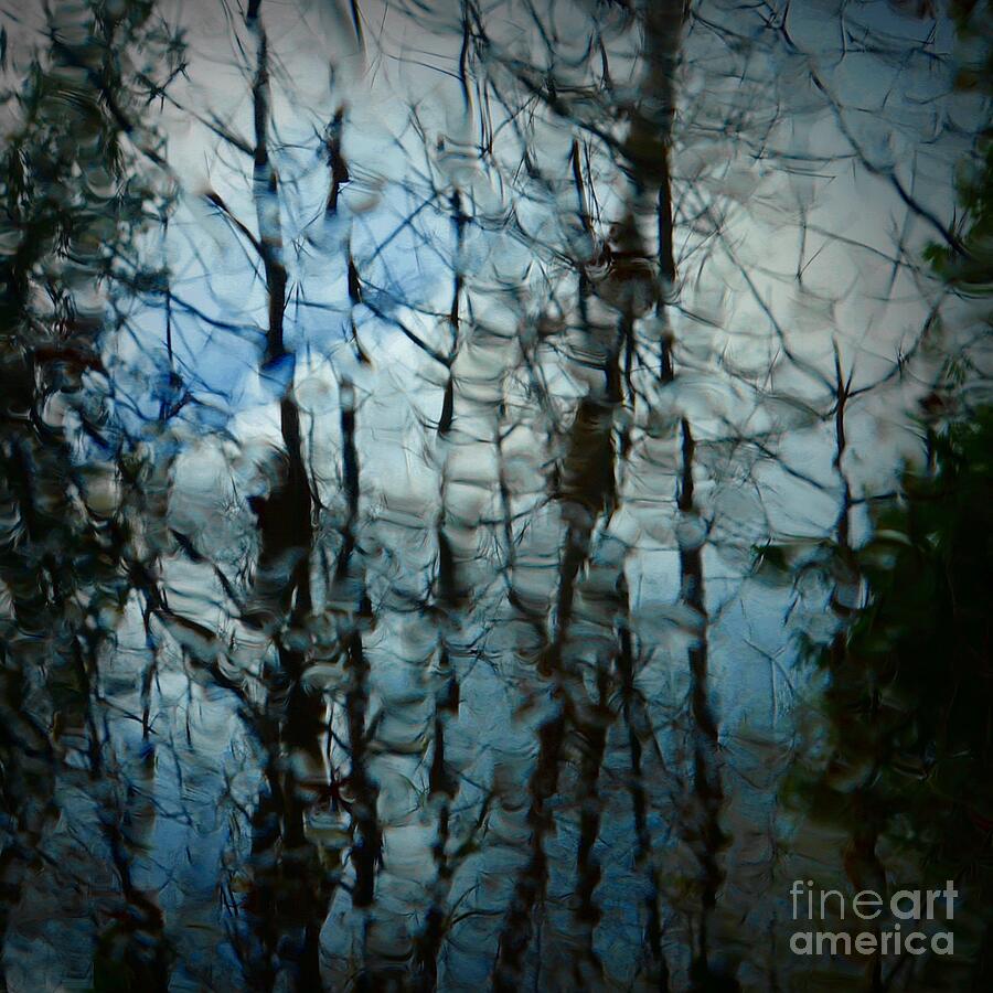 Abstract Photograph - Rain Trees by Patricia Strand