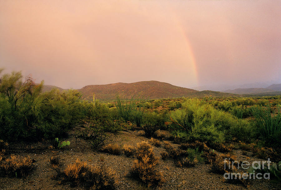 Rain Upon the Desert Land Photograph by Wernher Krutein