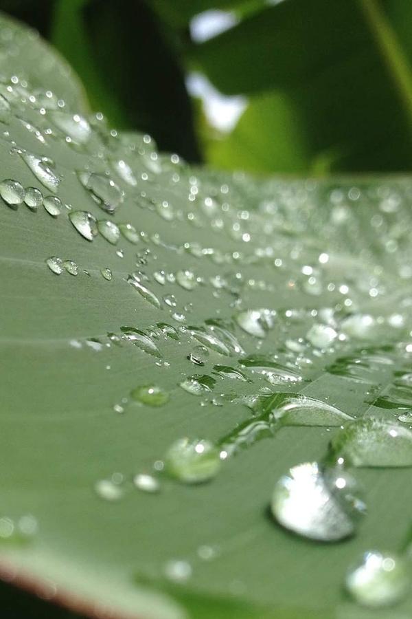 Rain Wash Photograph by Sarah Horton - Fine Art America