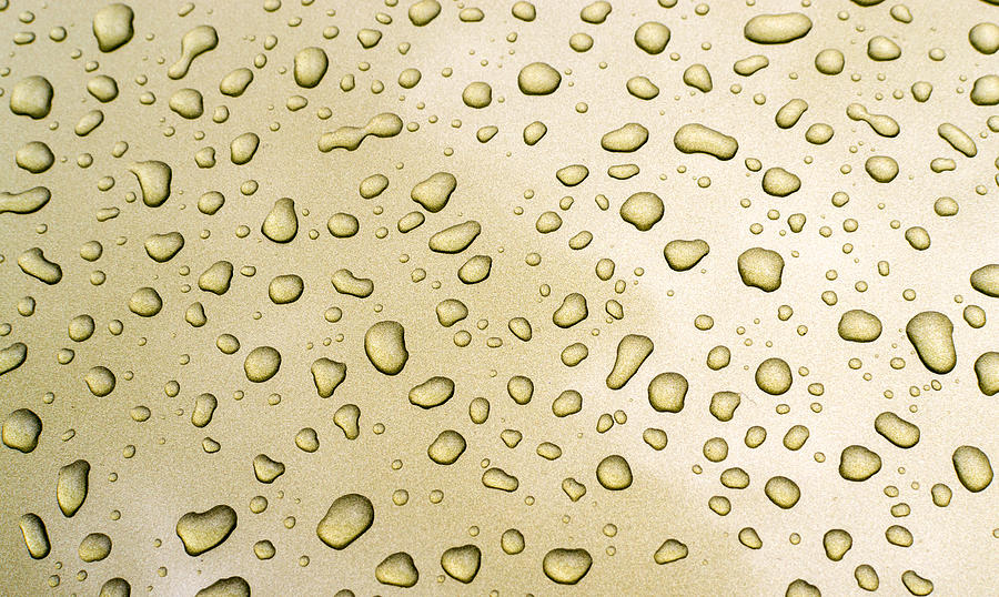 Rain Water Drops on Gold Metal Paint Photograph by John Williams