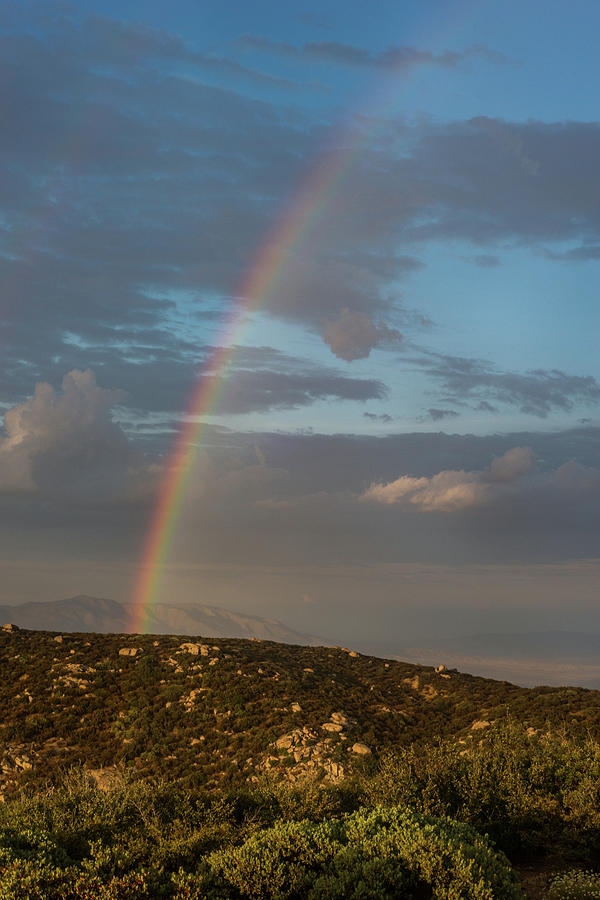 Rainbow Above Lagunas Photograph by TM Schultze