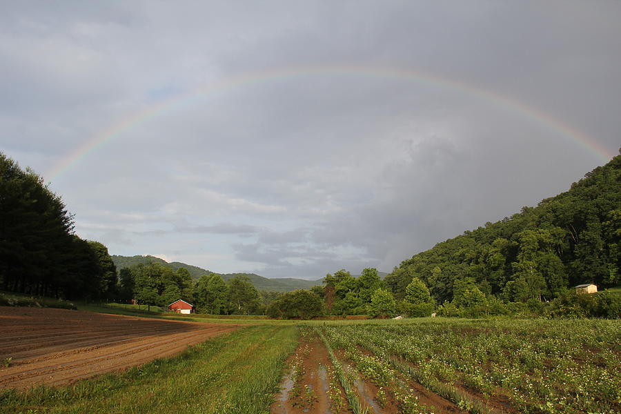 Rainbow Photograph by Allen Nice-Webb