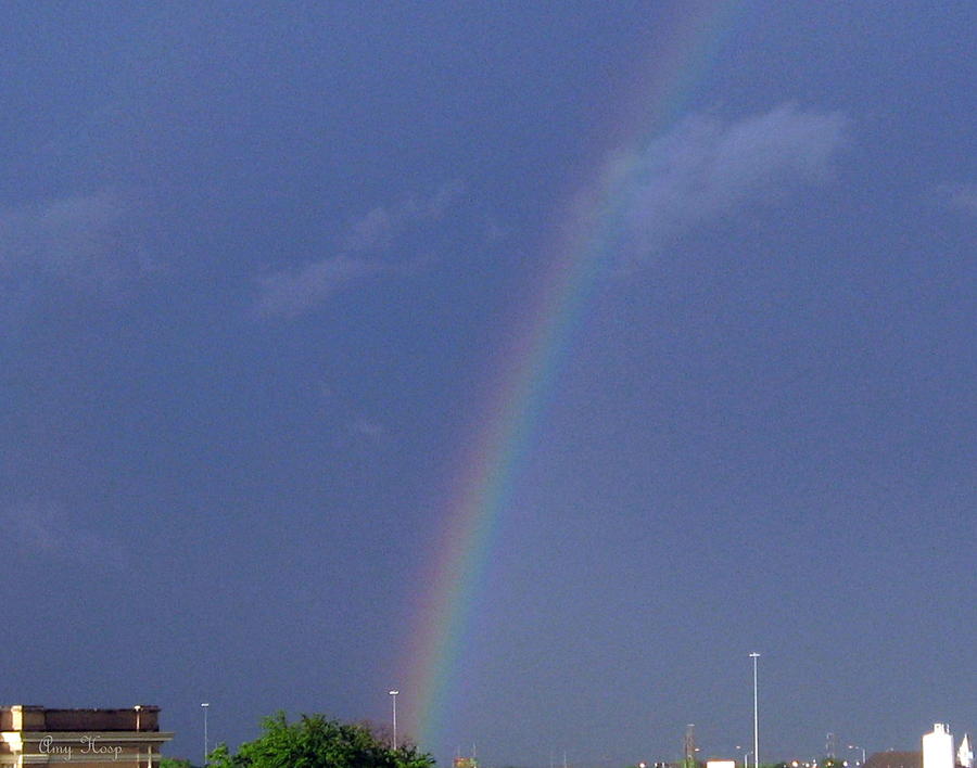 Rainbow Photograph by Amy Hosp