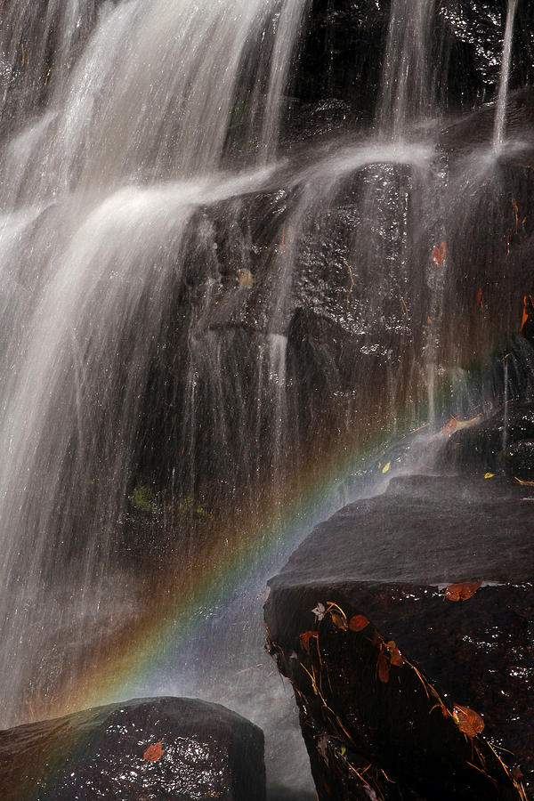 Rainbow and Chapman Falls Photograph by Juergen Roth