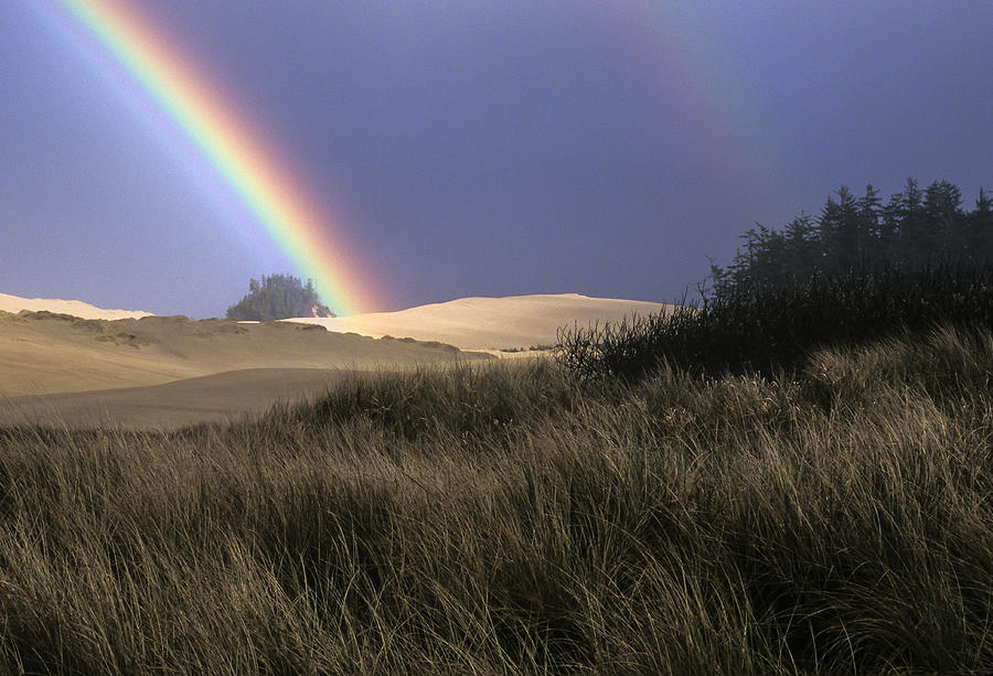 Rainbow and Dunes Photograph by Robert Potts