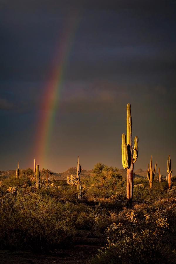 Sunset Photograph - Rainbow and the Rain  by Saija Lehtonen