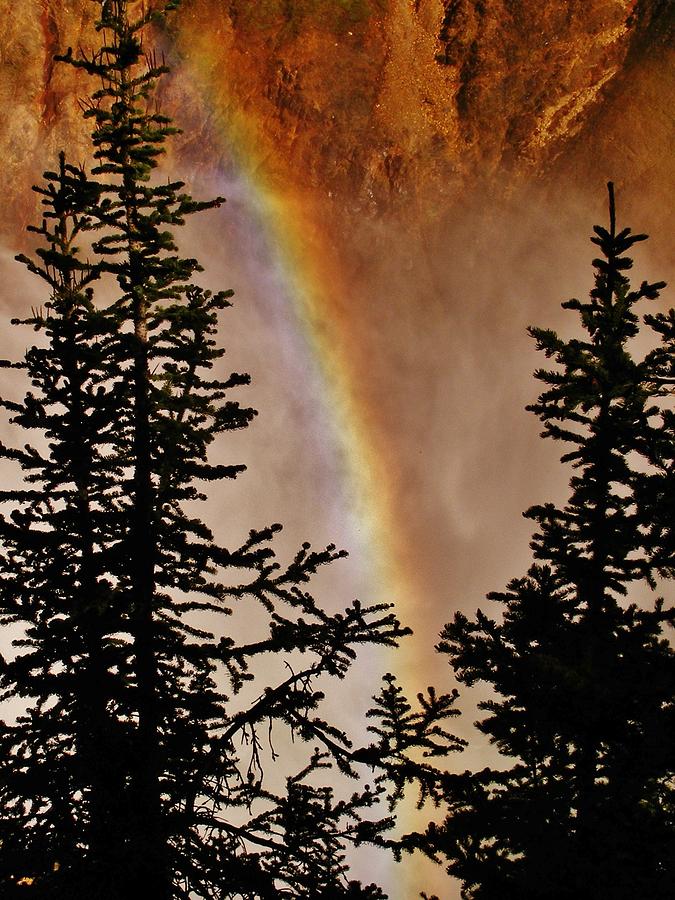 Rainbow and Trees Photograph by CL Redding | Fine Art America