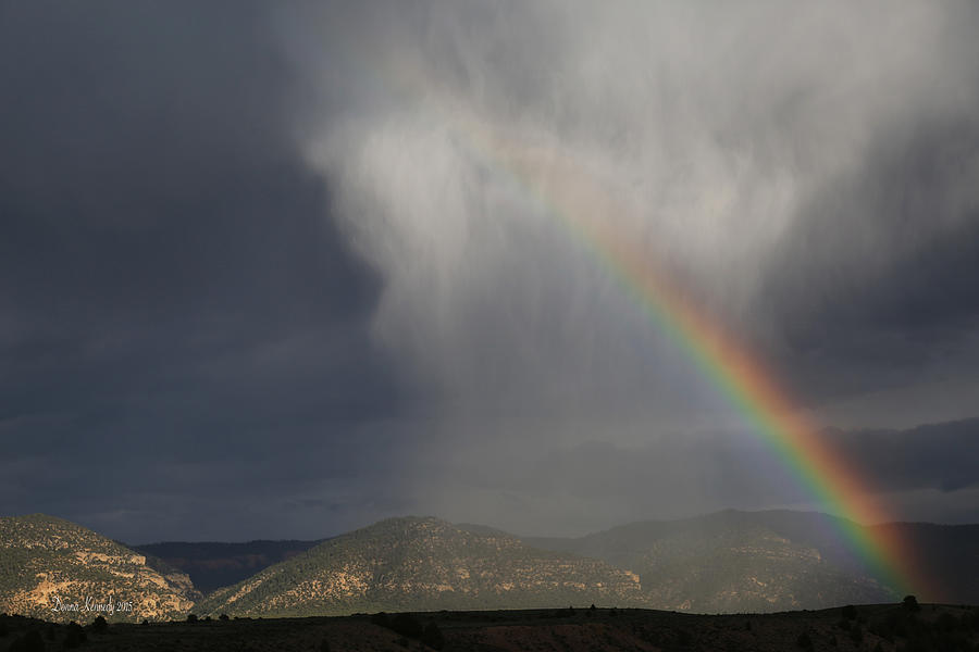Rainbow and Virga Photograph by Donna Kennedy