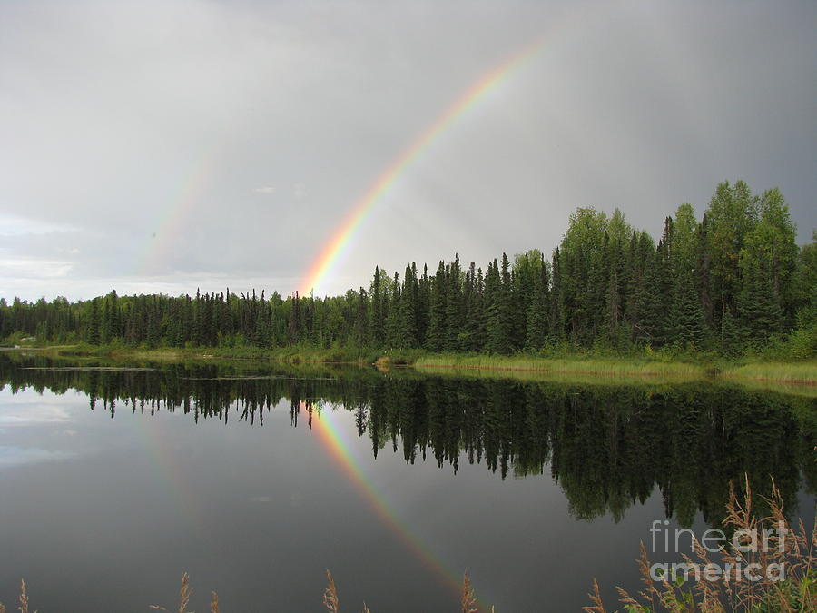 Rainbow Photograph by Anthony Trillo