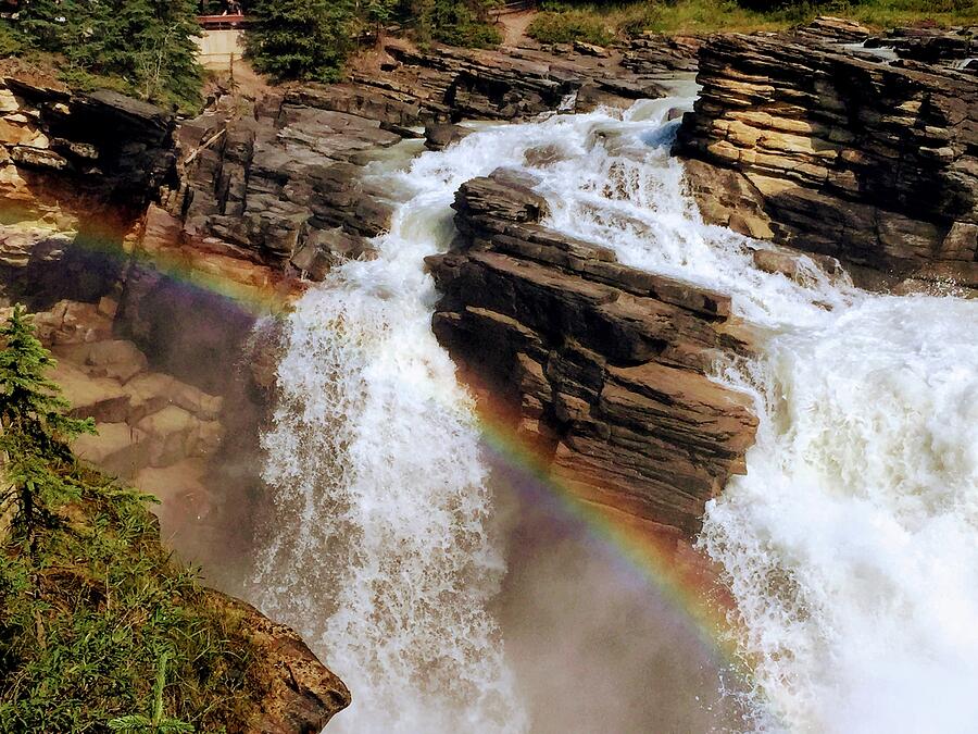 Rainbow at Athabasca Falls  Photograph by David T Wilkinson