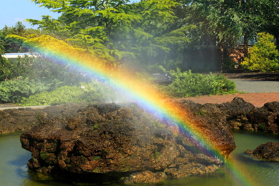 Rainbow at Botanic Garden Photograph by John Burk
