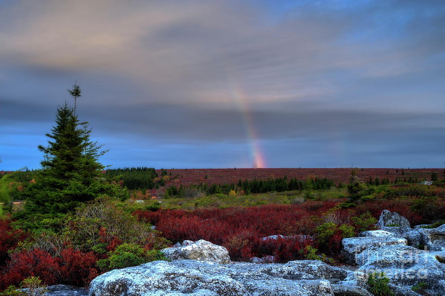 Rainbow at Dolly Sods in morning Photograph by Dan Friend