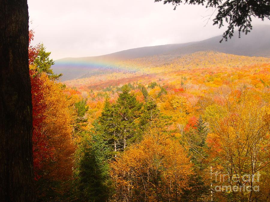 Rainbow at Flume Mt, NH Painting by Paul Galante