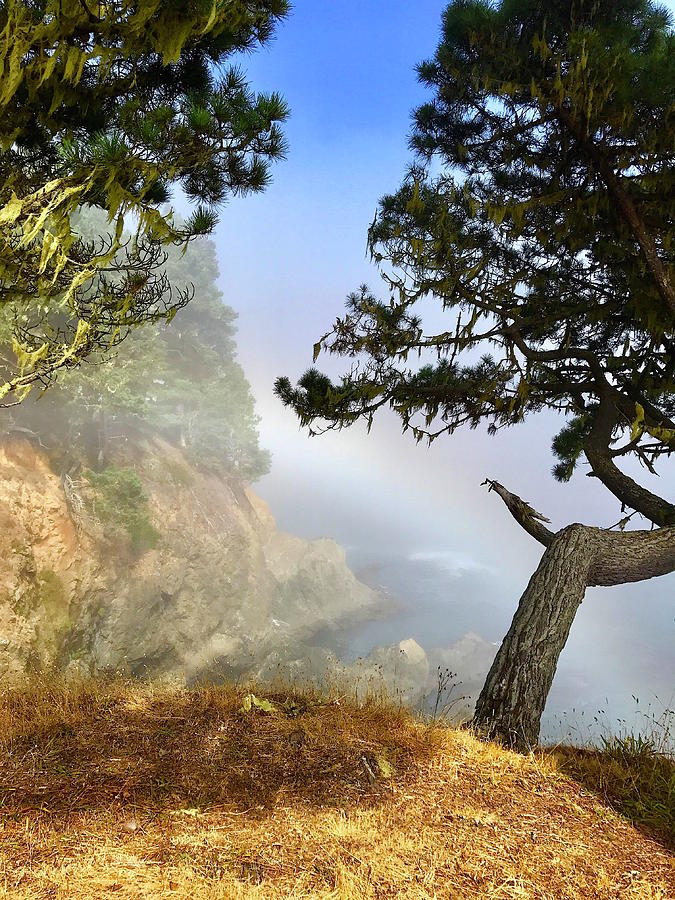 Rainbow at Russain Gulch State Park Photograph by Pamela Roberts - Pixels