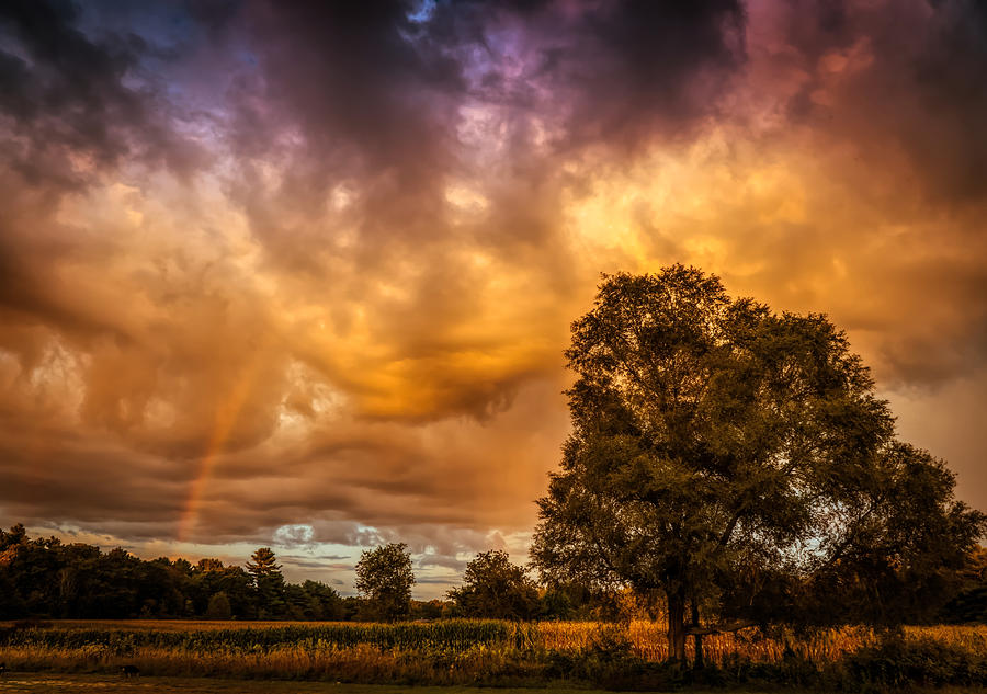 Rainbow at sunset Photograph by Lilia S
