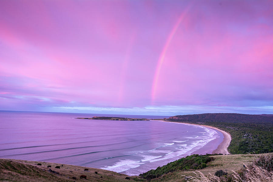 Rainbow Bay Photograph by Janis Connell