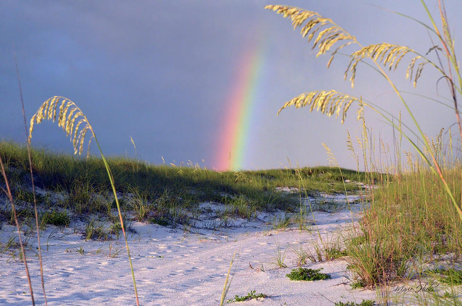 Sunset Photograph - Rainbow Beach Path 1 by Marie Hicks