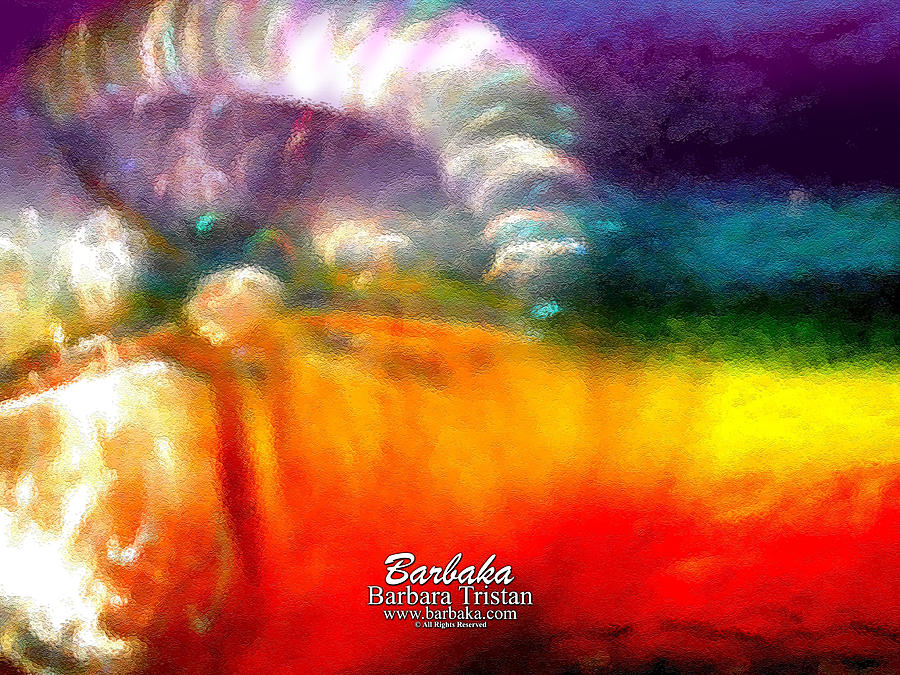 Rainbow Bliss #052833_II Photograph by Barbara Tristan