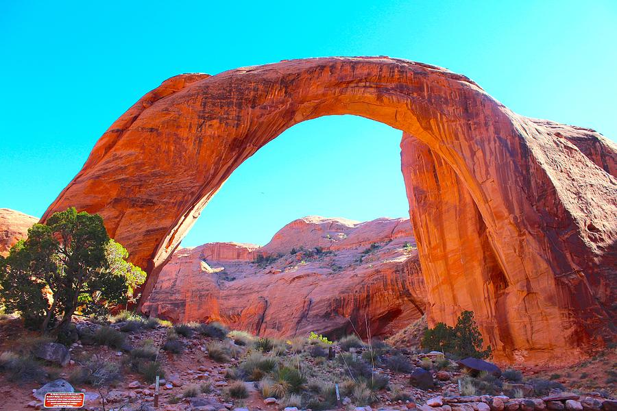 Rainbow Bridge Photograph by Cordelia Ford - Fine Art America