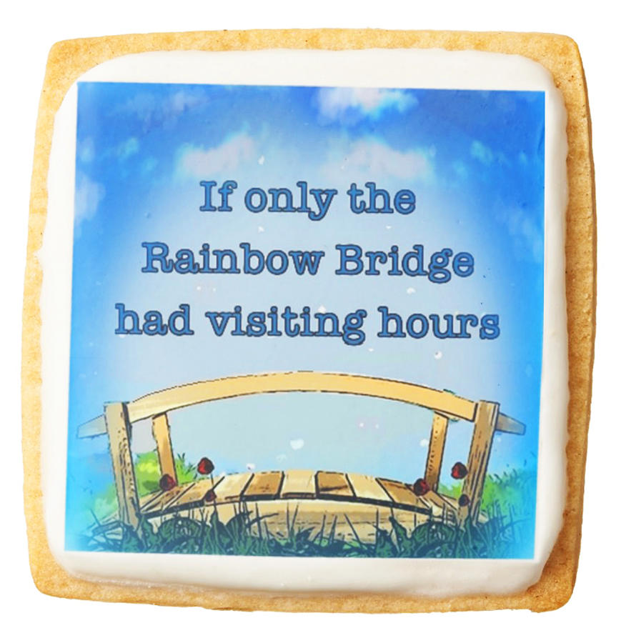 Rainbow Bridge Cookie Photograph by Kathy Kelly
