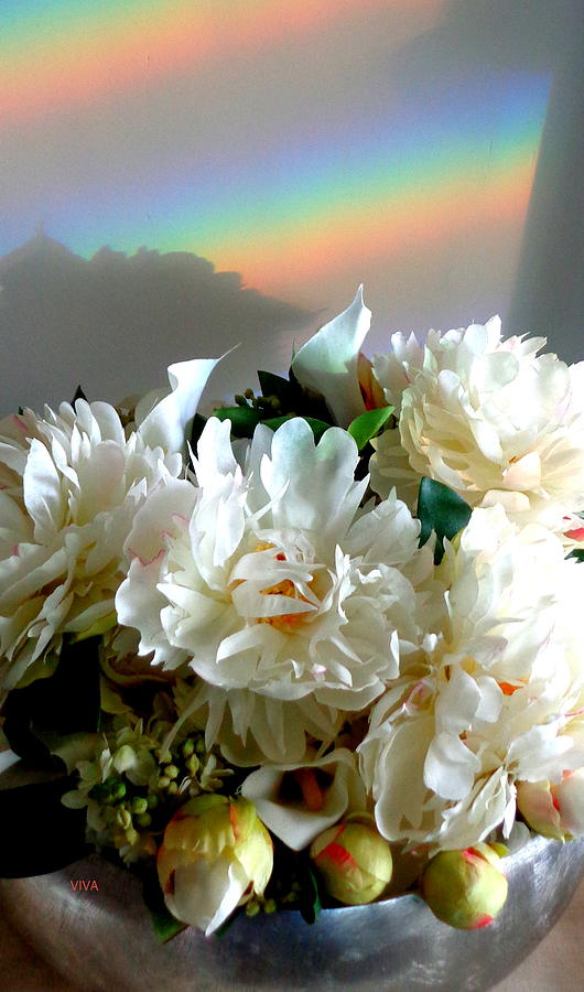 Rainbow Buds n' Blooms One by VIVA Anderson Rainbow Buds n' Blooms One by VIVA Anderson