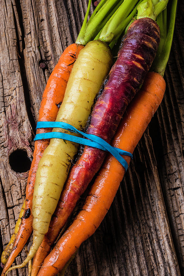 Rainbow Carrots Photograph by Garry Gay - Pixels