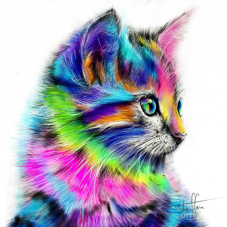 rainbow cat shaff oceans