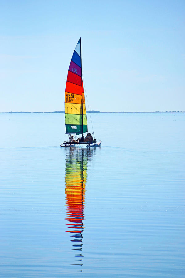 Rainbow Catamaran Photograph by Lawrence S Richardson Jr